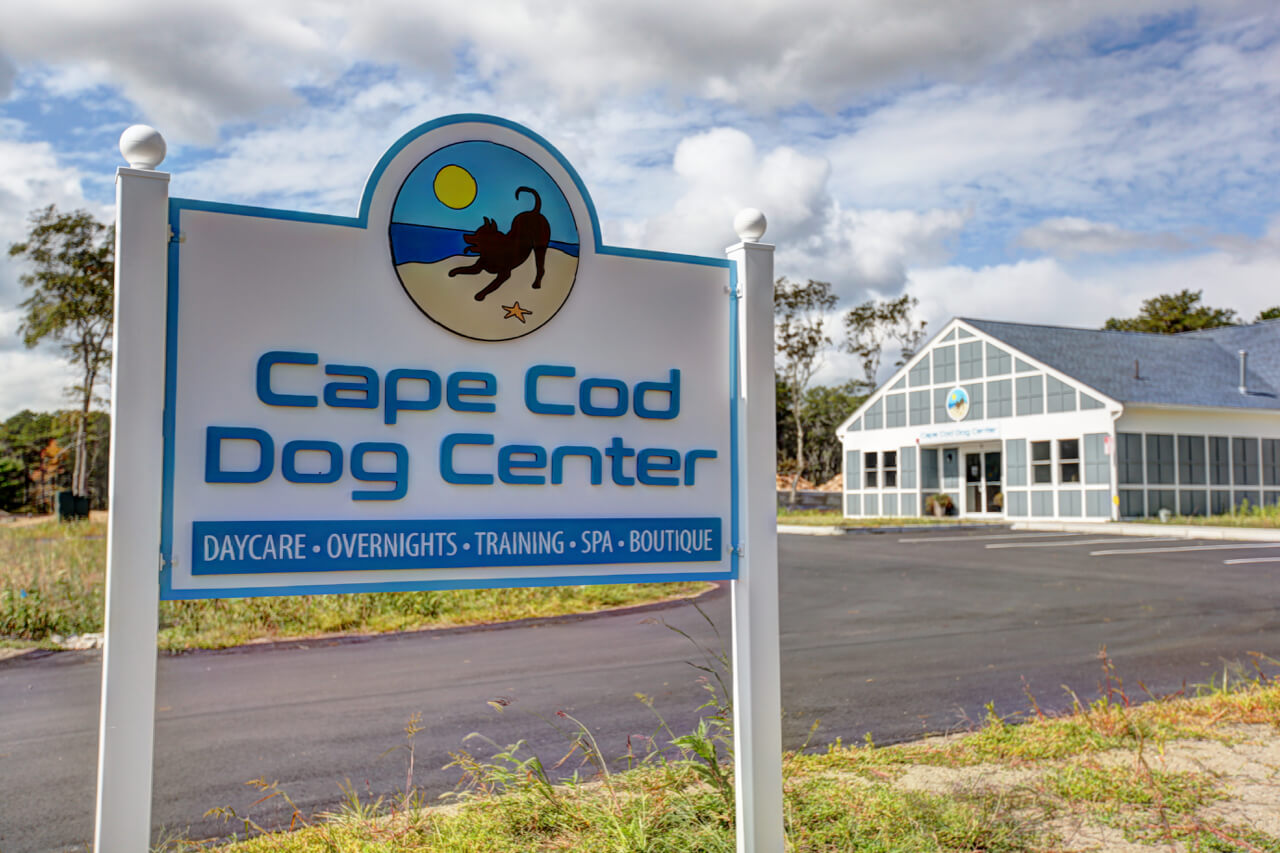 About Cape Cod Dog Center Dog Boarding, Daycare & Grooming Cape Cod